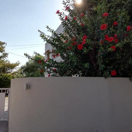 Dimitris' & Valentina'S Home 普拉基亚斯 外观 照片