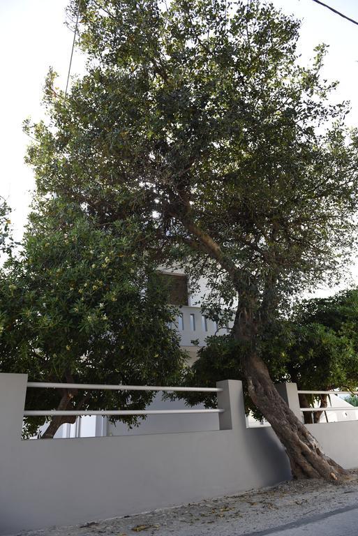 Dimitris' & Valentina'S Home 普拉基亚斯 外观 照片