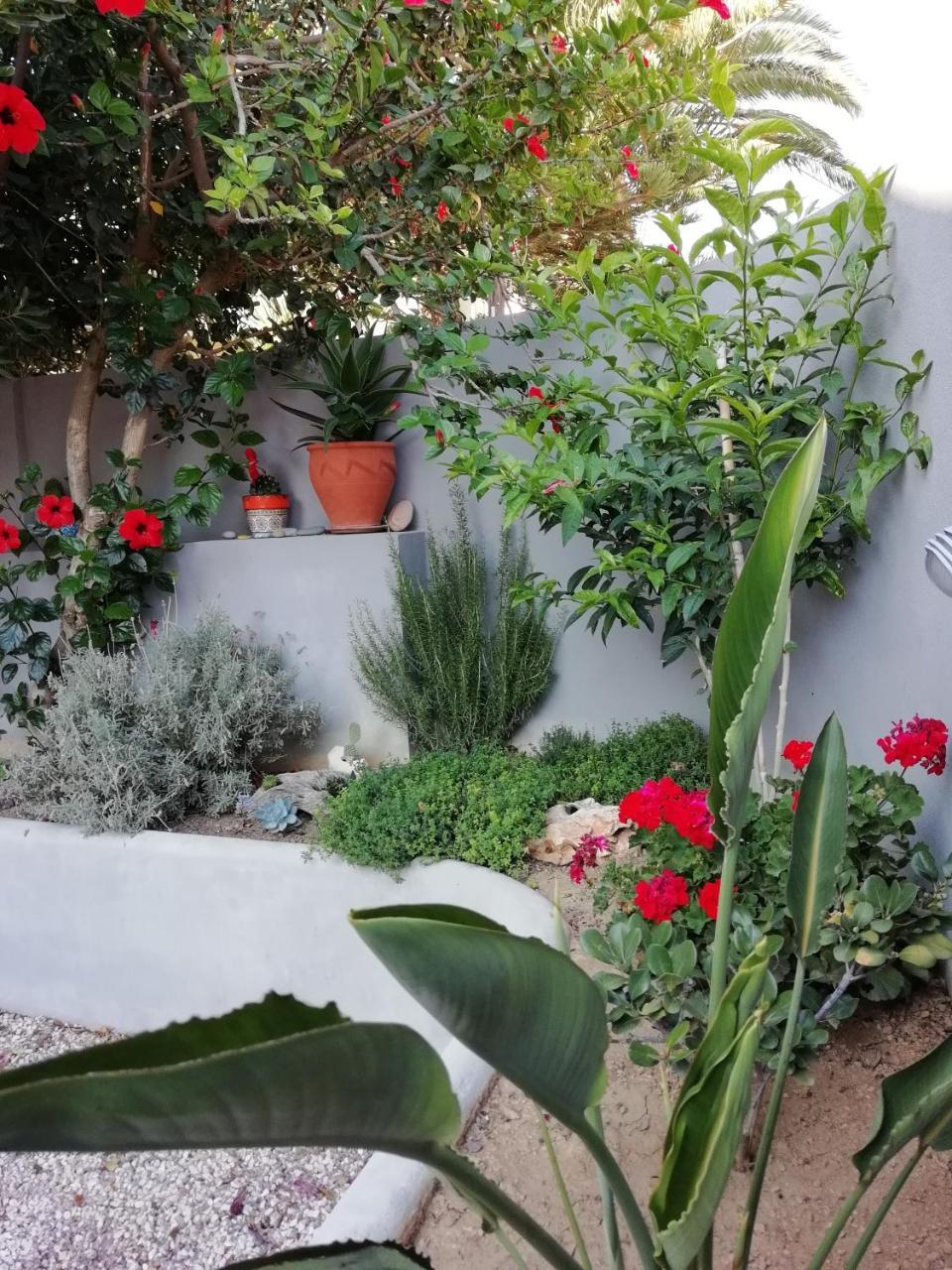 Dimitris' & Valentina'S Home 普拉基亚斯 外观 照片