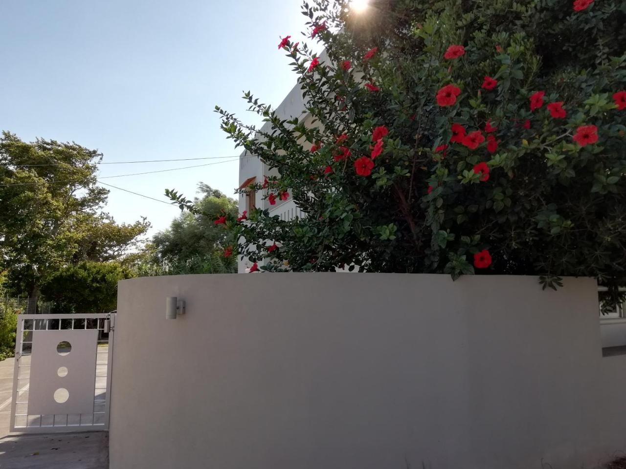 Dimitris' & Valentina'S Home 普拉基亚斯 外观 照片